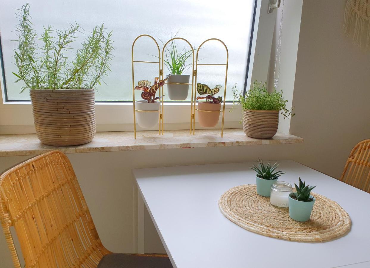 Boho Apartment Oldenburg Dış mekan fotoğraf